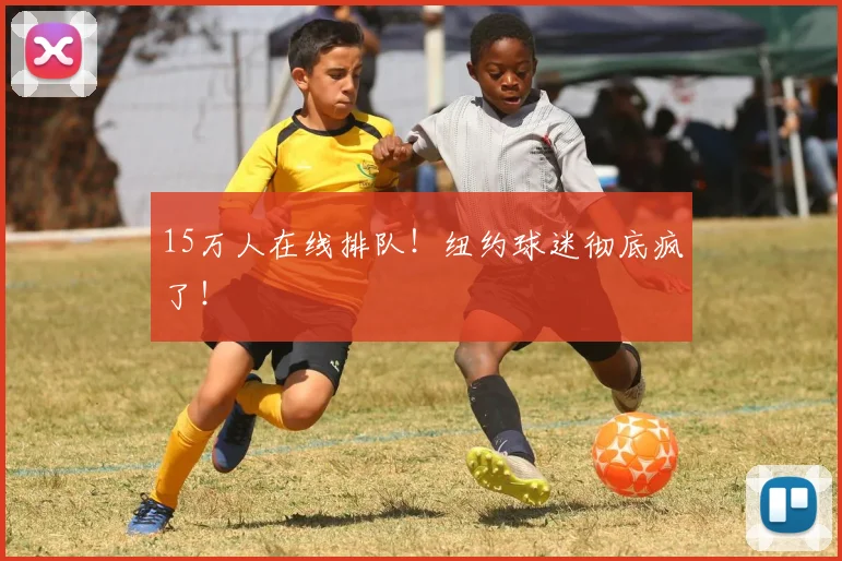 15万人在线排队！纽约球迷彻底疯了！